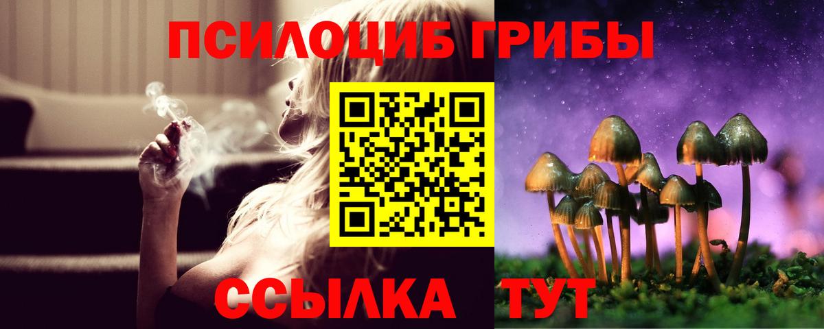 Галлюциногенные грибы мицелий  Галлюциногенные грибы Psilocybe  где найти   Вход с VPN  Дальнереченск 